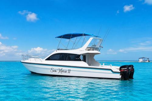 Private Boat Trip Sea Horse II